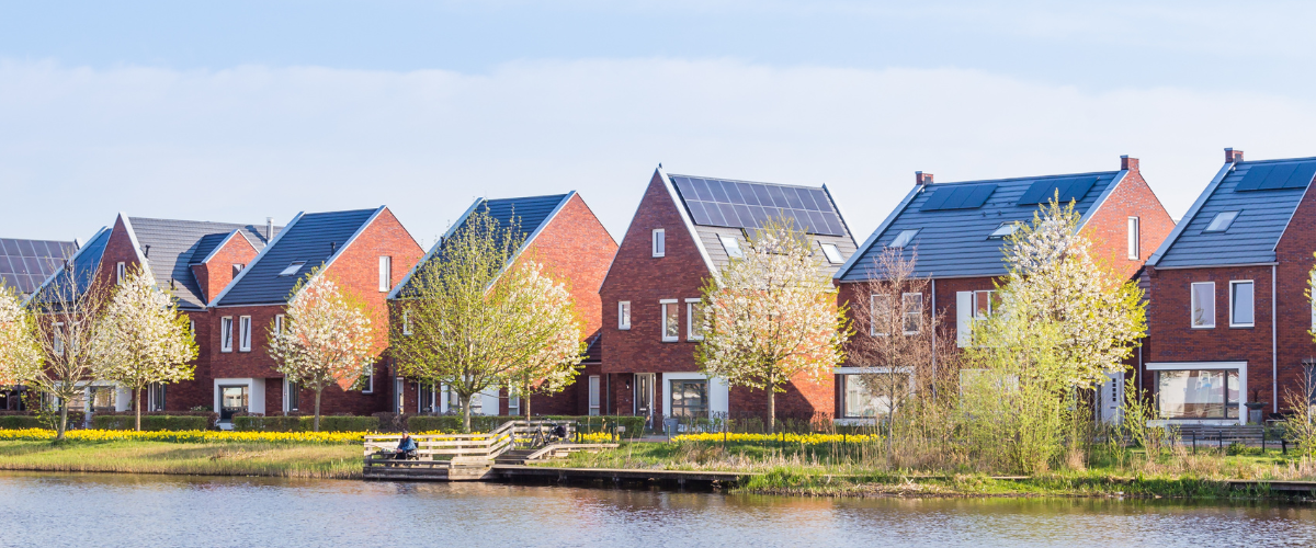 オランダのグリーンハート：CBD製品の素材としての魅力的なヘンプ生産地